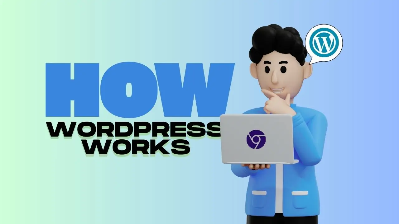 How WordPress Works: Beginner Guide, Themes & Blogging